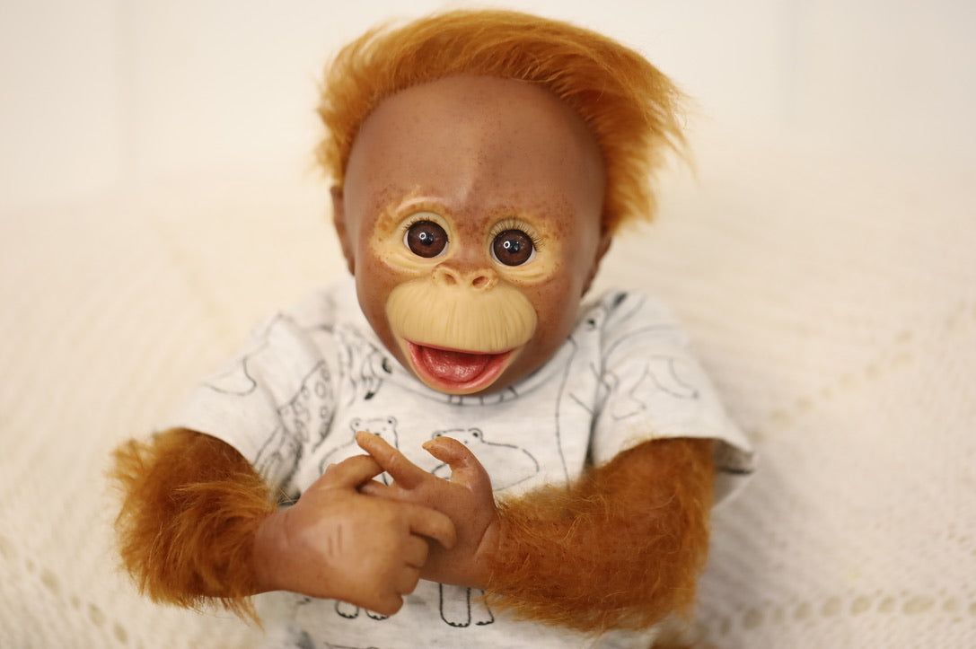 Flick | Orangutan Baby Boy