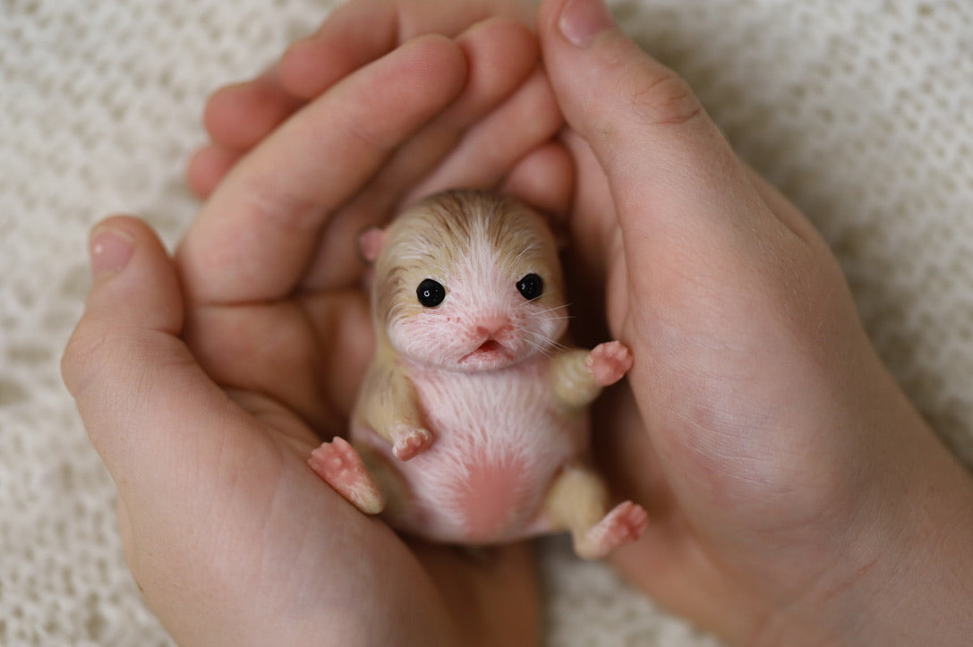 Cookie | Silicone Baby Hamster