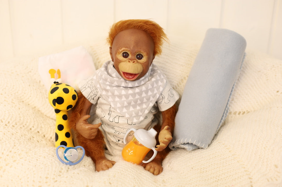 Flick | Orangutan Baby Boy