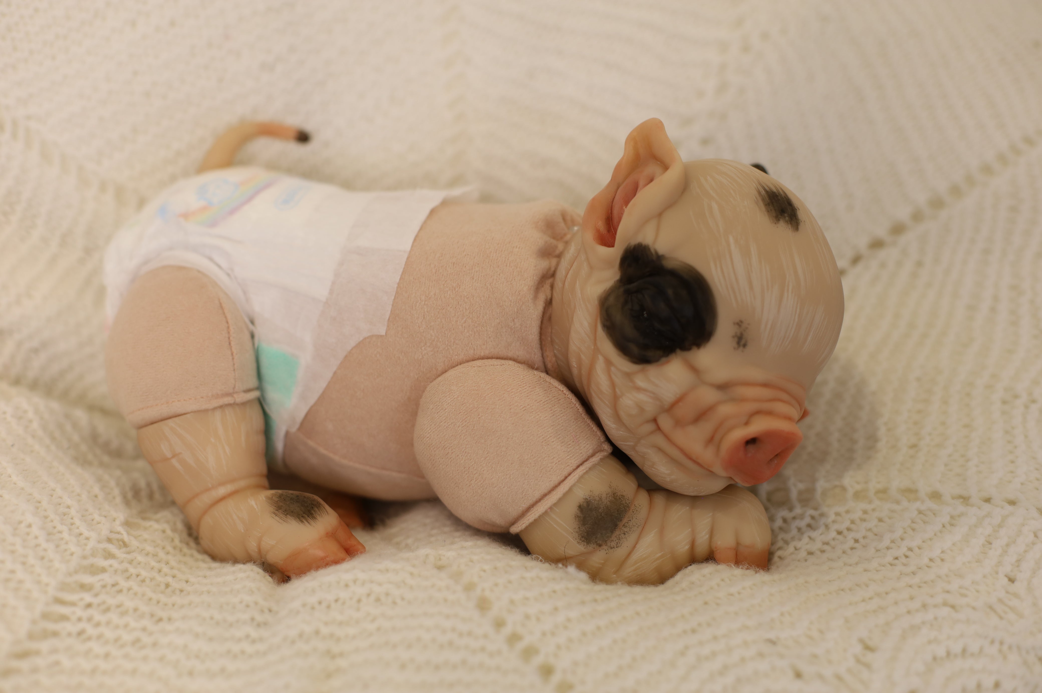 Petal | Playborn Piglet